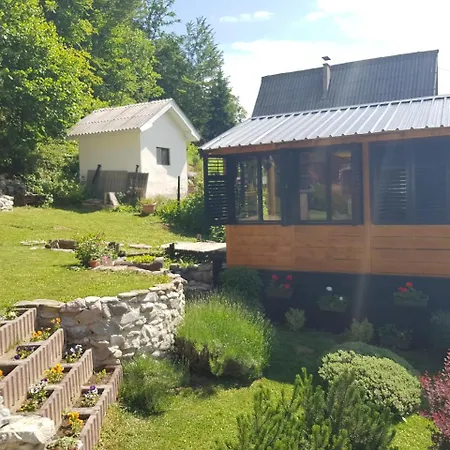 Vila Lodge